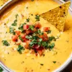 Crockpot Queso Recipe