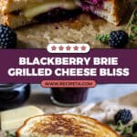 Blackberry Balsamic and Brie Grilled Cheese Recipe