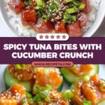 Spicy Tuna Bites Recipe