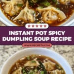 Instant Pot Spicy Dumpling Soup Recipe