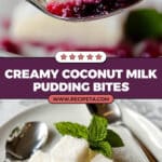 Coconut Milk Pudding Recipe