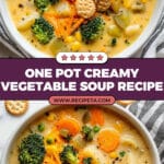 One Pot Creamy Vegetable Soup Recipe