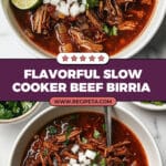 Slow Cooker Beef Birria Recipe